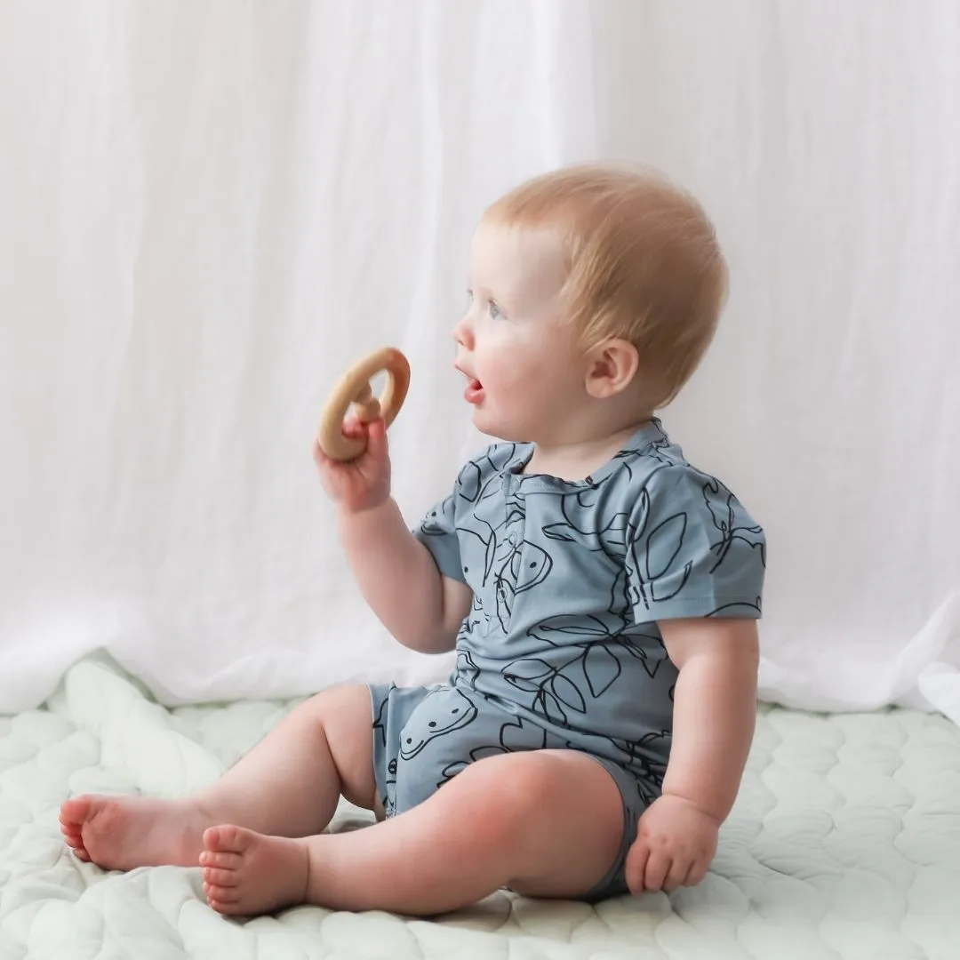 Alex Romper - Giant Bugs