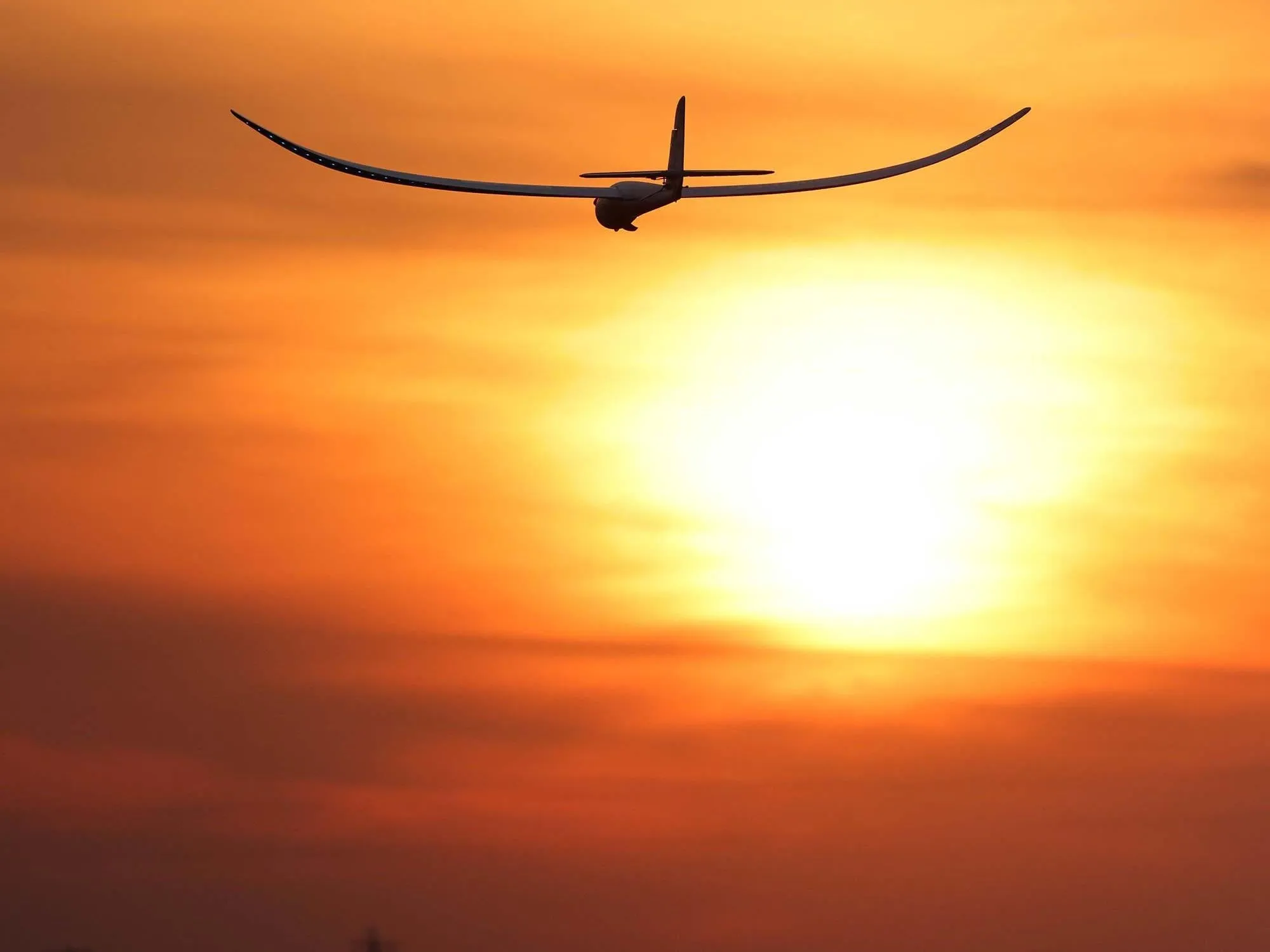 E-Flite Night Radian 2.0m BNF Basic with AS3X SAFE & Smart Select EFL36500