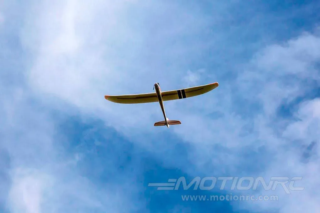 E-flite Radian BNF Basic 2000mm (78.7") Wingspan - BNF