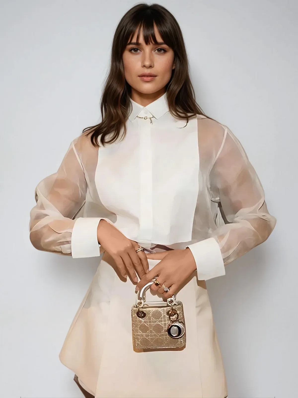 Puff Sleeve Lapel Organza Transparent Top
