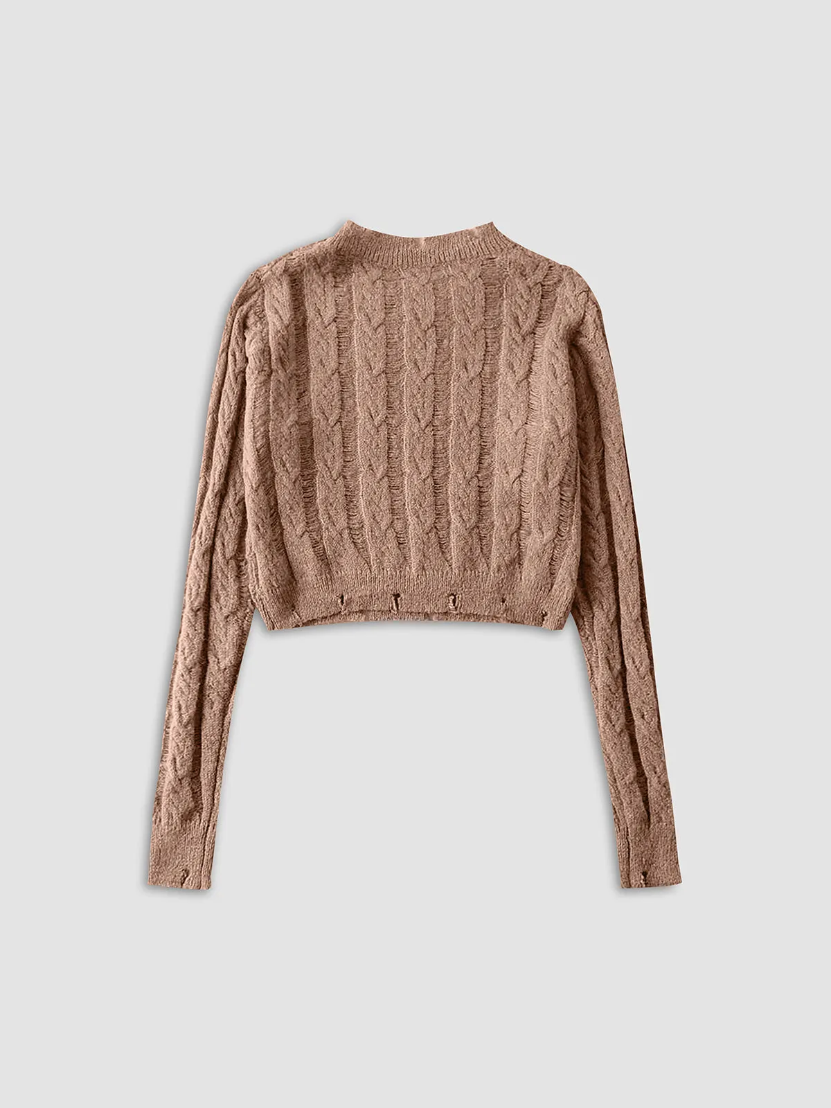 Semi-Sheer Snowflake Crochet Knit Shirt